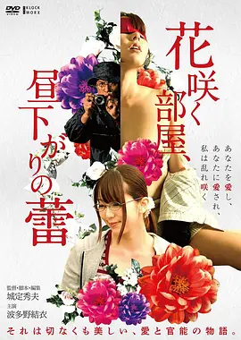 2026春季片单观察 最新高清电影推荐